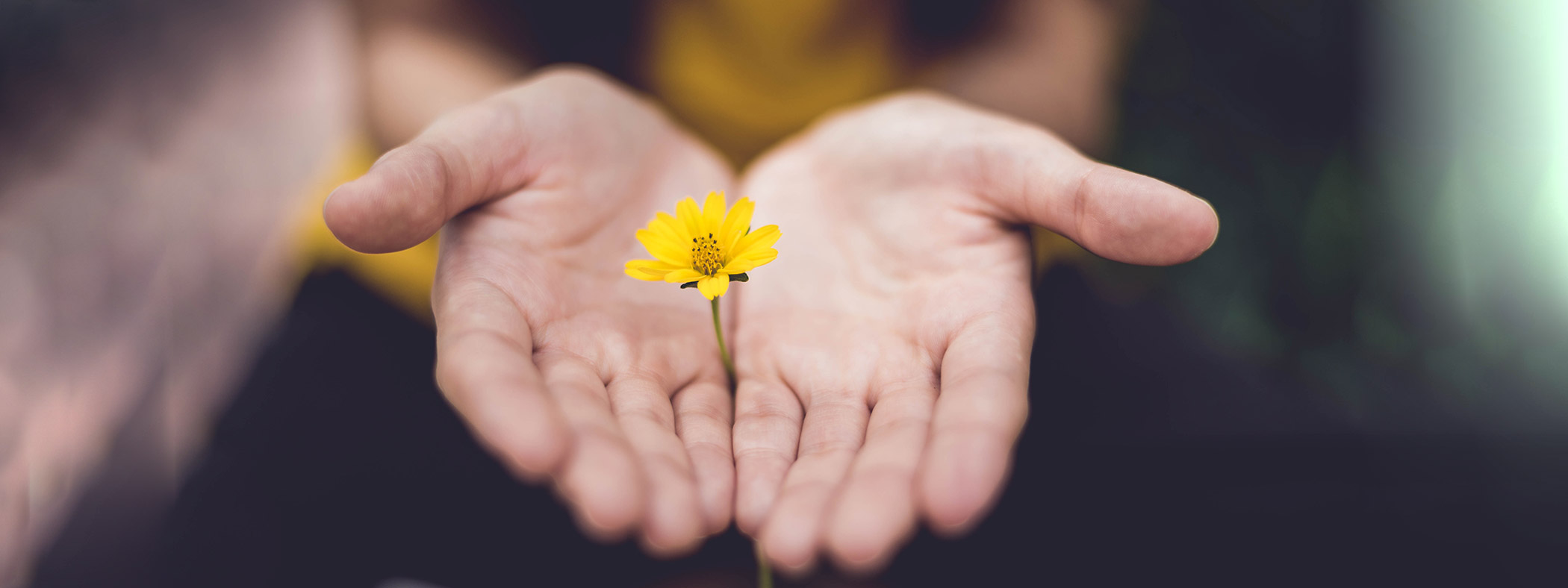 Gutschein verschenken