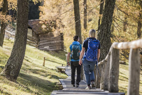 Sul Monte Specie, 2307 m