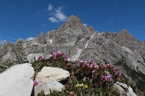 Sul Lastron dei Scarperi, 2.957 m