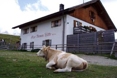 Alpe-Nemes-Hütte (1950 m)