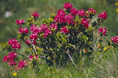 Al Rifugio dei Tre Scarperi, 1.629 m