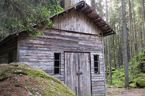 Sesto-Cappella nel bosco