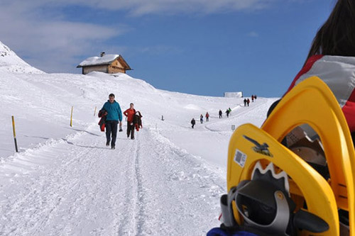 Giro delle malghe (1.877 m)