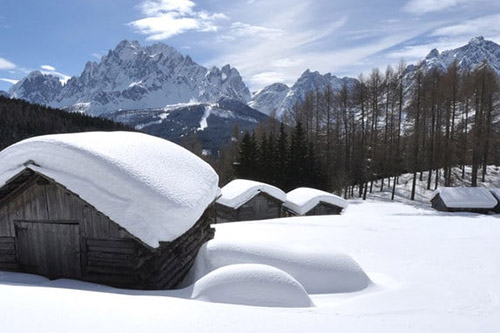 Alle malghe Uces de Fojedora (2114 m)