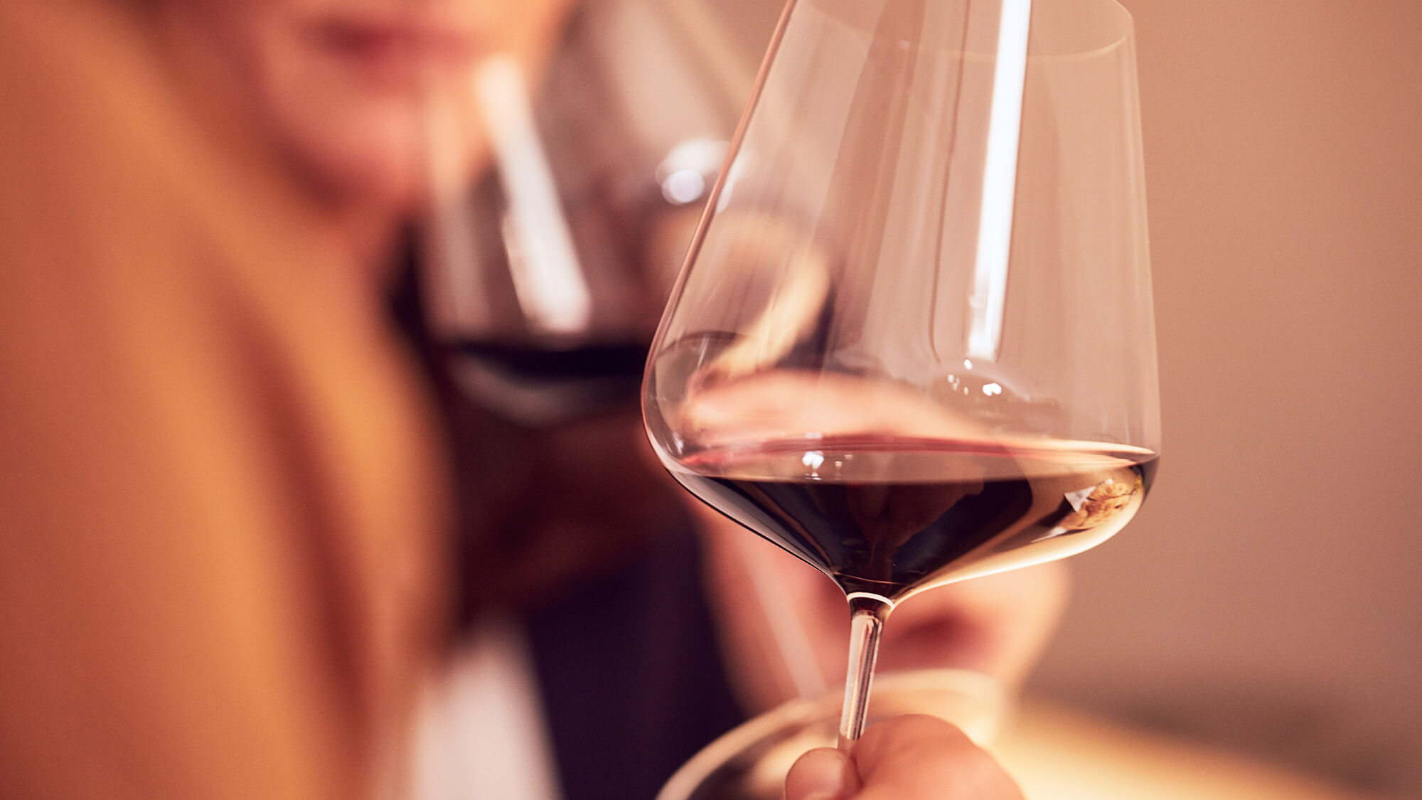 Wine and cheese from South Tyrol