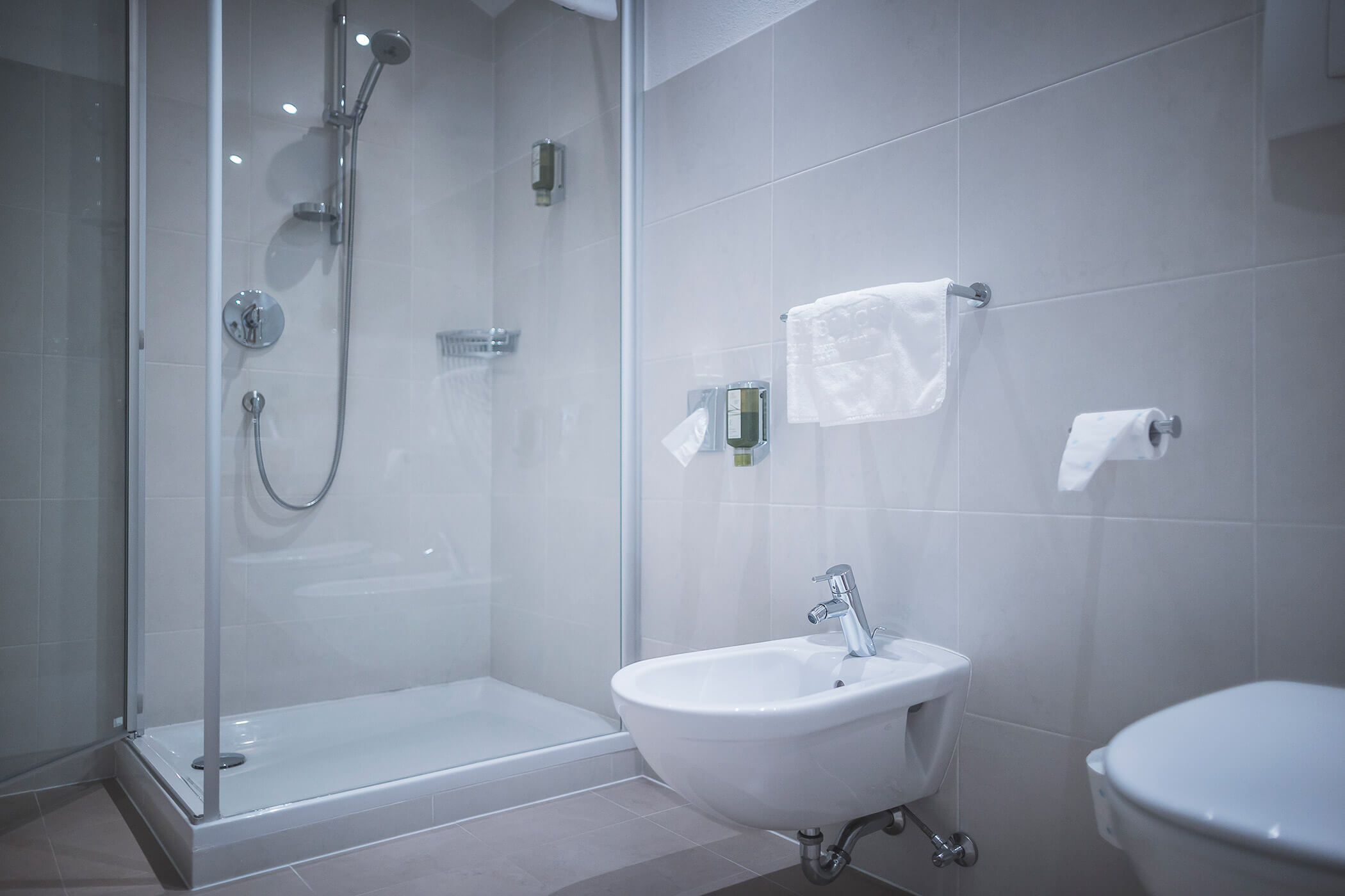 Camera Alpina Malga Nemes Doccia 